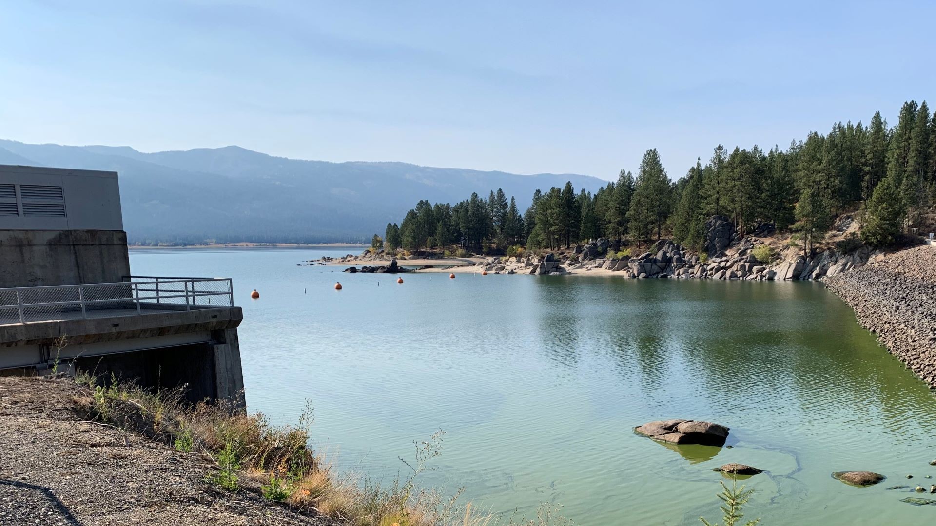 Health advisory issued for Cascade Reservoir due to harmful algae bloom