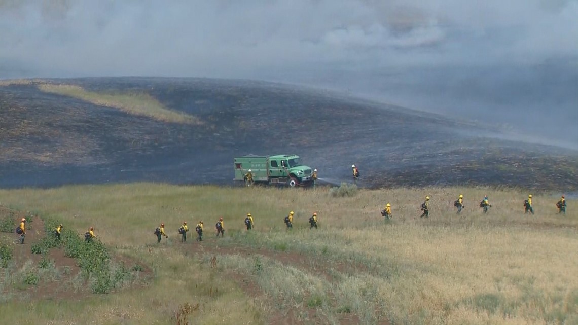 Wildfires of 2018 offer a stark reminder of how dangerous human-caused fires can be - Vimarsana News