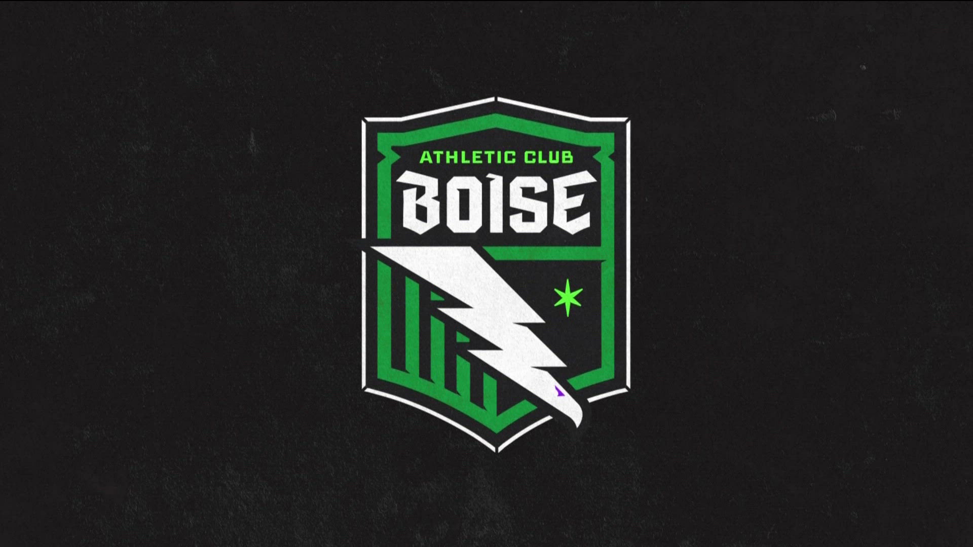 The team's name is a nod to Boise's Basque roots and global soccer traditions. 