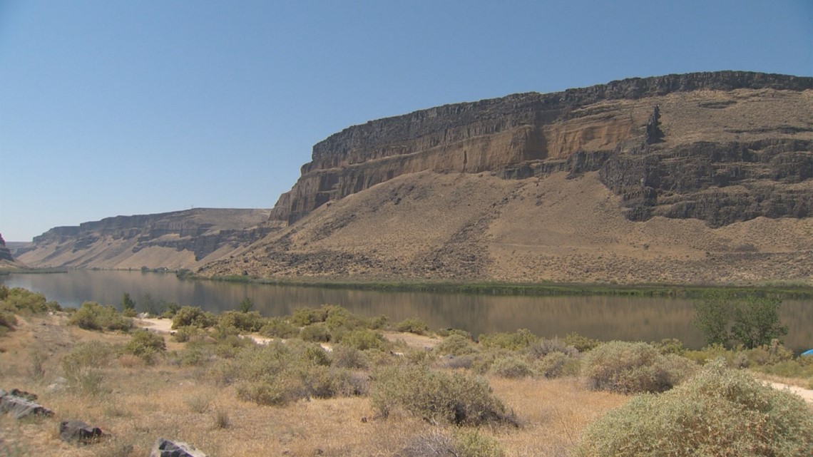 Treasure Valley, Idaho men sentenced after shooting golden eagle - Vimarsana News