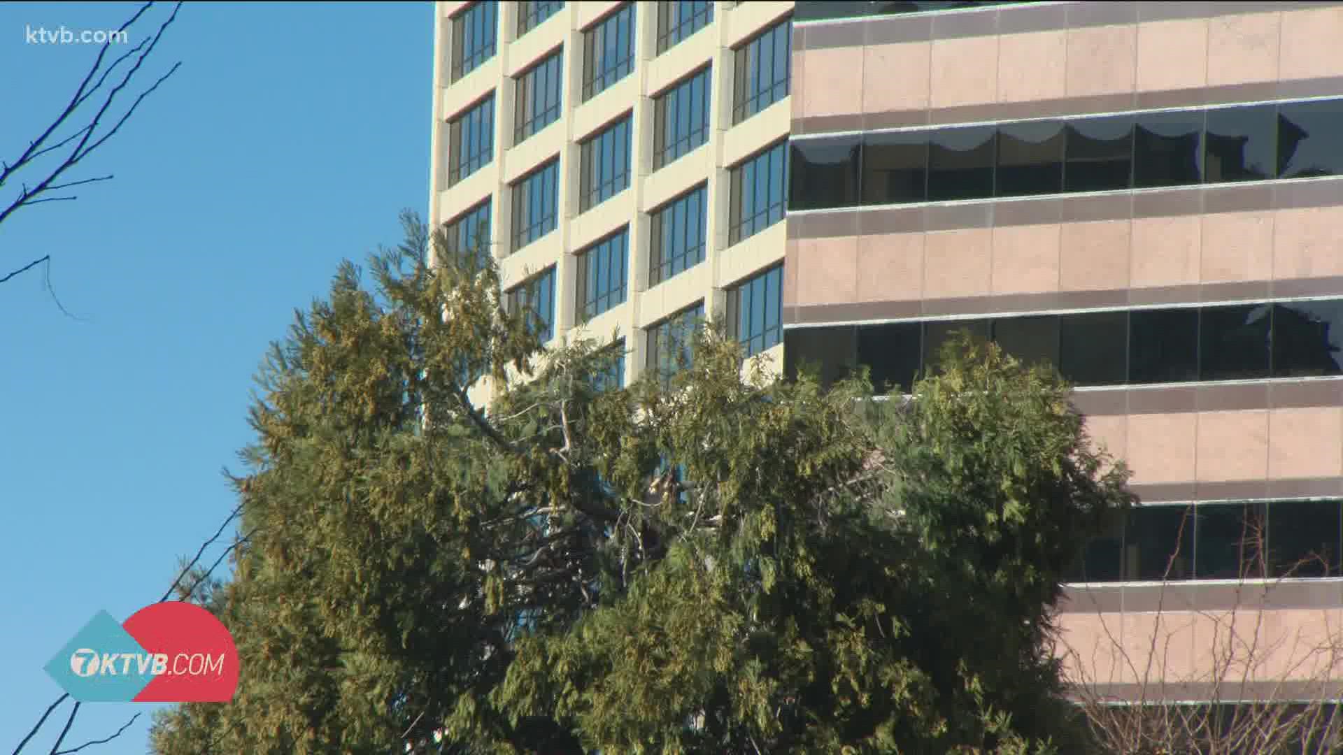 Misfortune has once again befallen the massive Christmas tree set up every year in downtown Boise's Grove Plaza.