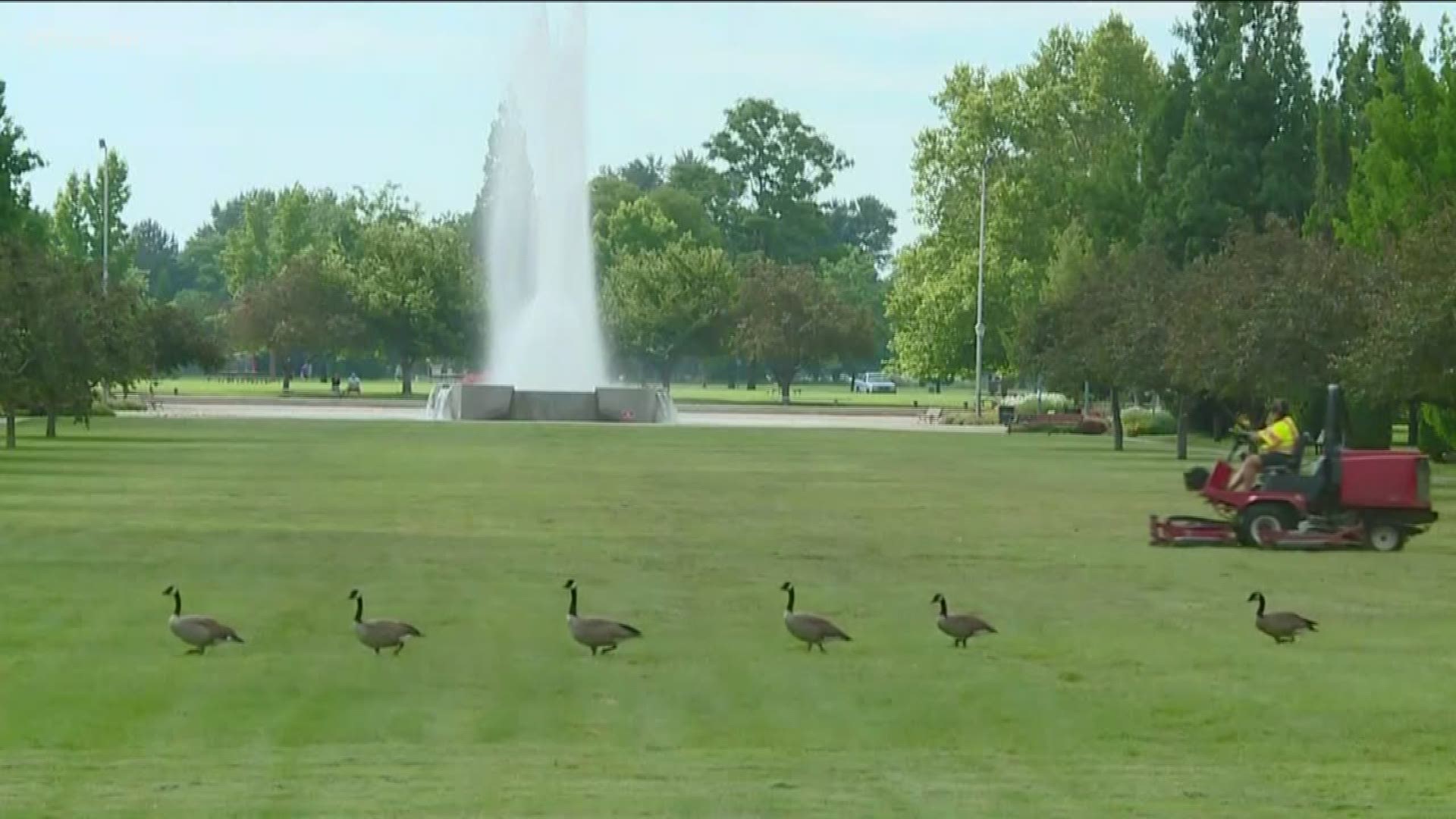 The free lunches will be given out near the fountains in Ann Morrison Park. Proper precautions to keep people safe are being taken.