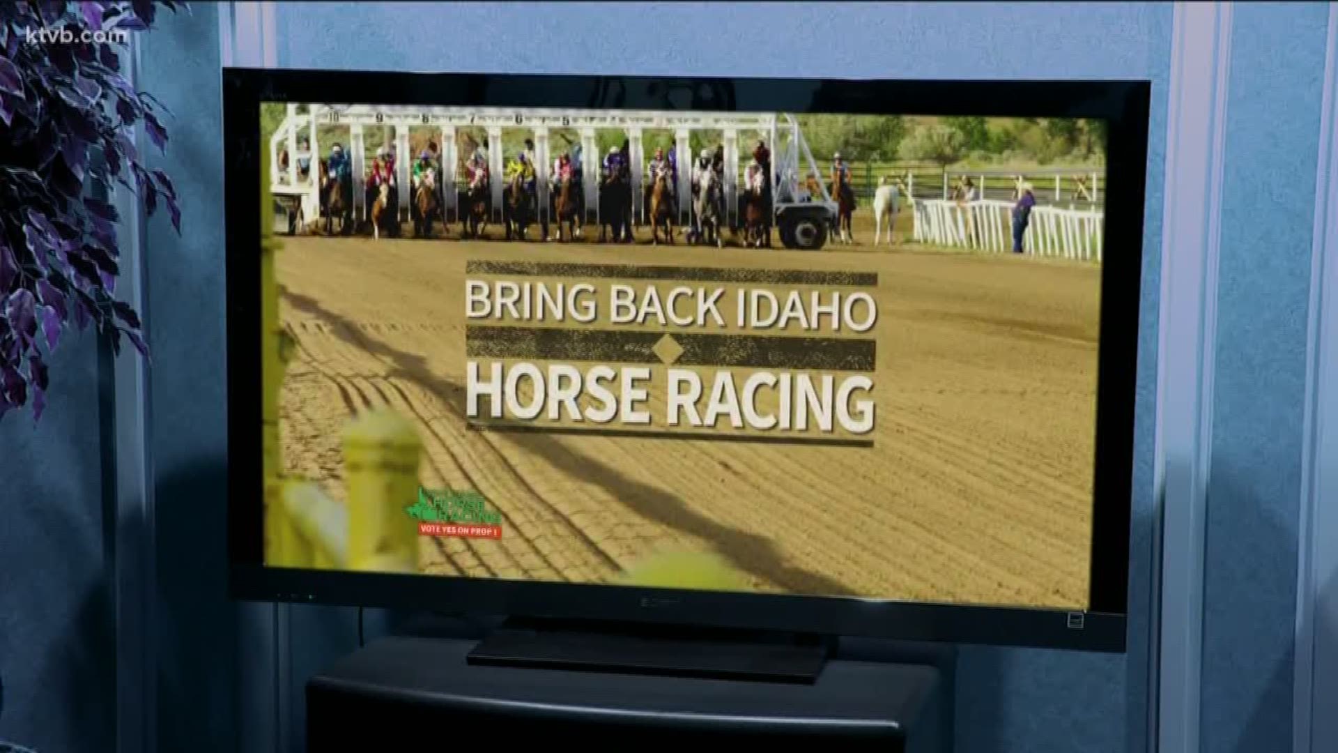 If approved by Idaho voters in the November 6 election, historical horse racing machines would be made legal at certain places in the state where simulcast racing occurs.