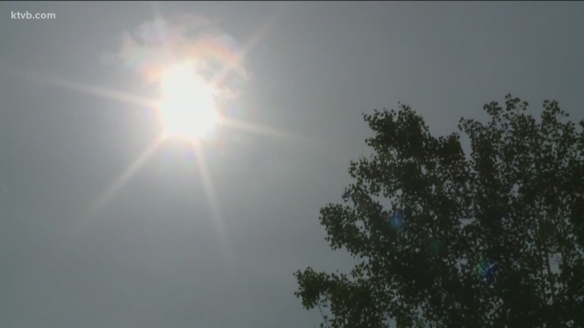 We spoke with a dermatologist about what you need to protect yourself from the sun's harmful rays.