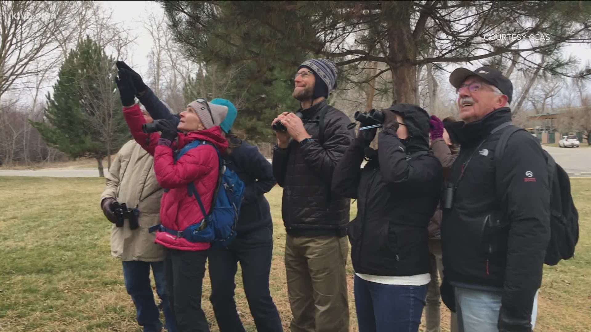 "I think one of the best things about birding is it's so accessible - anyone from any age, any physical ability, any background can get into birding."