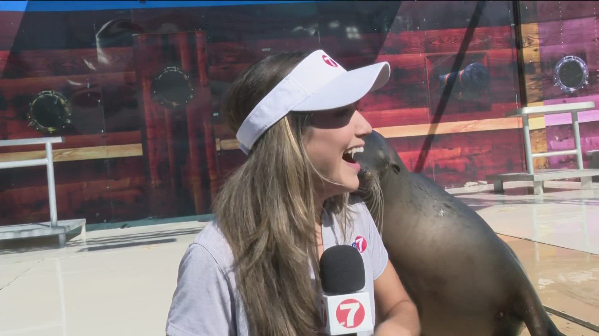 KTVB Day at the Western Idaho Fair Sea Lion Splash