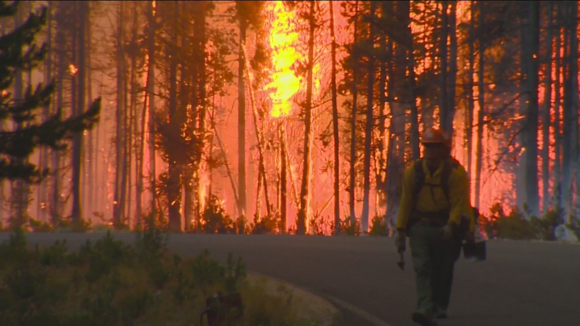 Federal and state agencies sign an interagency agreement to better respond to wildland fires in Idaho through cooperation and enhanced coordination.