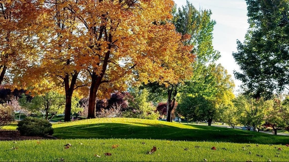 Pocatello Curbside Leaf Collection