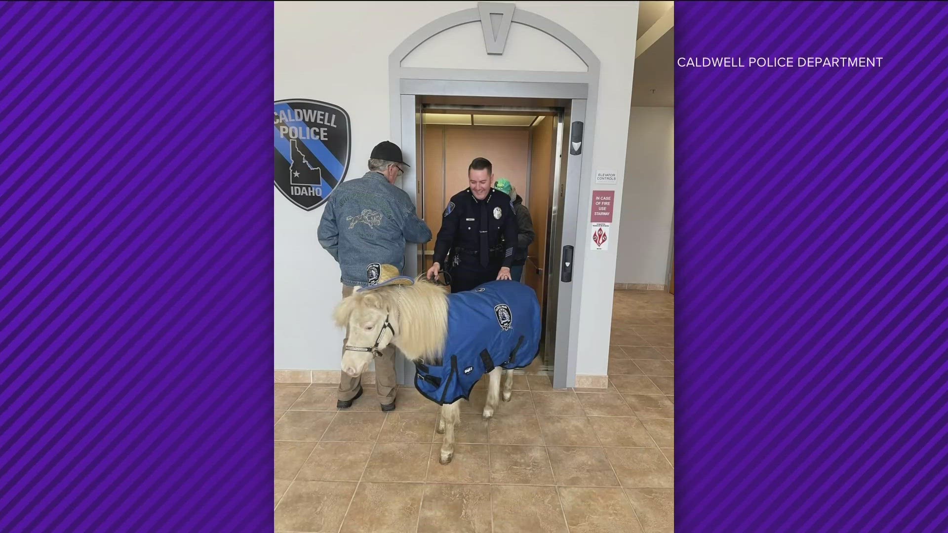 Complete with cowboy hat, this miniature horse ignores the neigh-sayers and uses his magic to bring smiles to the faces of the Caldwell community.