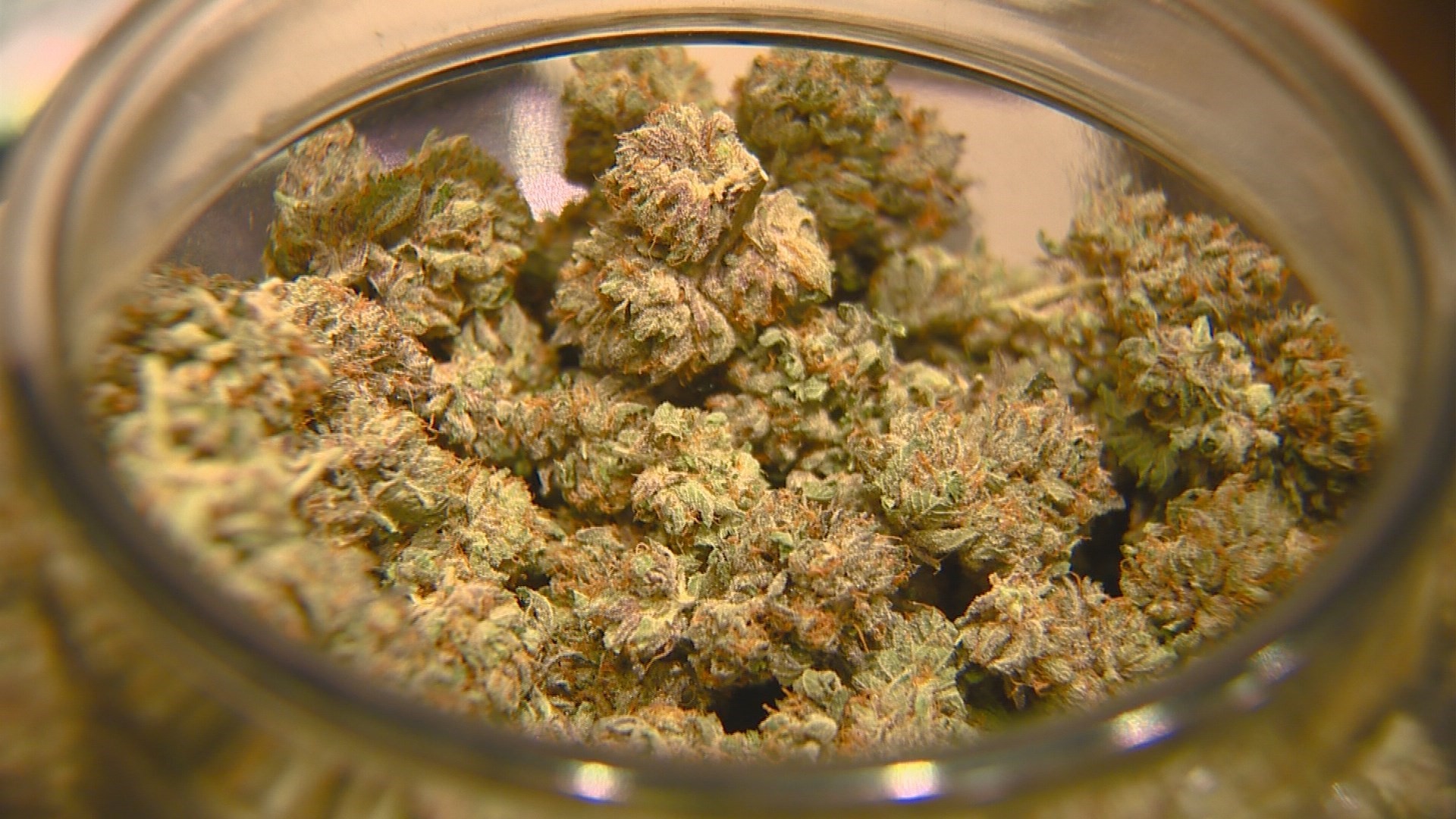 Initiative to legalize medical marijuana in Idaho is cleared to begin