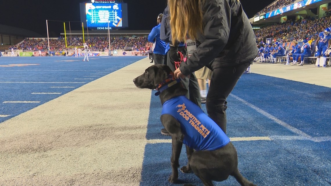 Boise State's tee-fetching dog: Adorable tradition goes back decades 