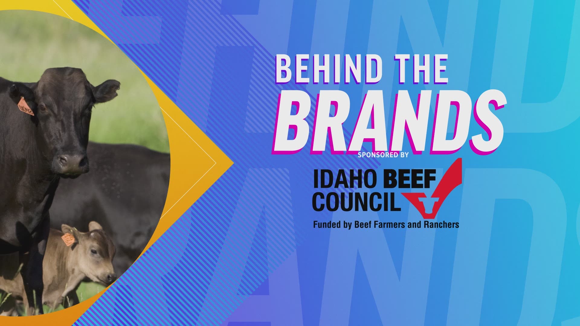 You've bought the beef, but who are the people who help put it on our table? Sponsored by Idaho Beef Council.
