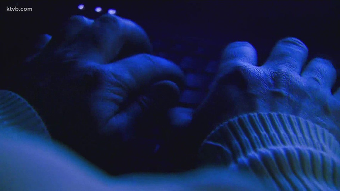 Idaho Internet Crimes Against Children Unit sees an increase in cases - Vimarsana News