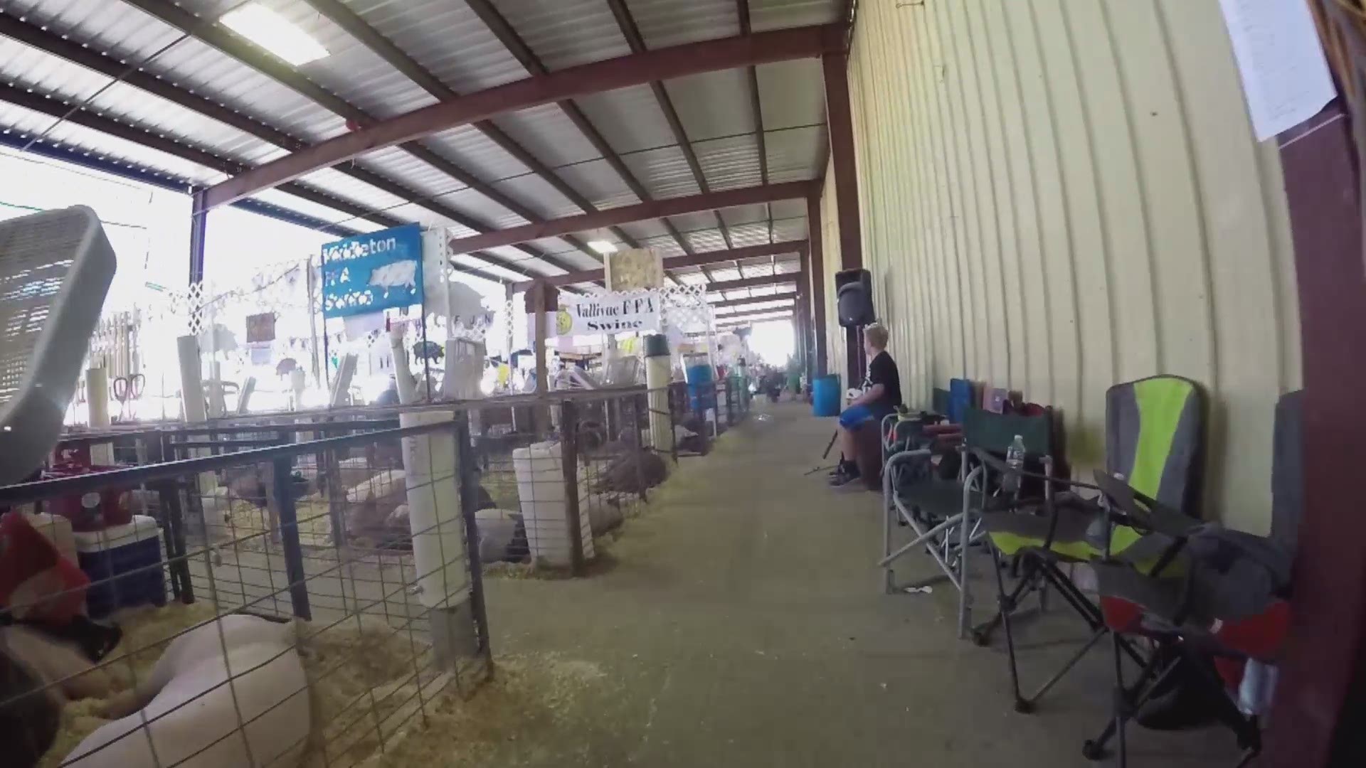 Youth learn valuable ag lessons at Canyon County Fair