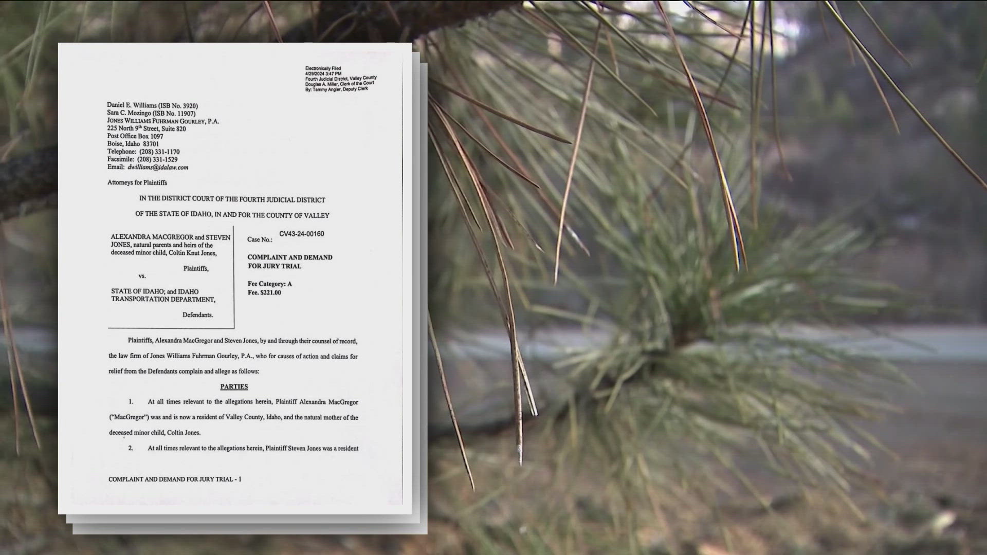 The parents claim ITD was negligent in removing dangerous and dead trees.
