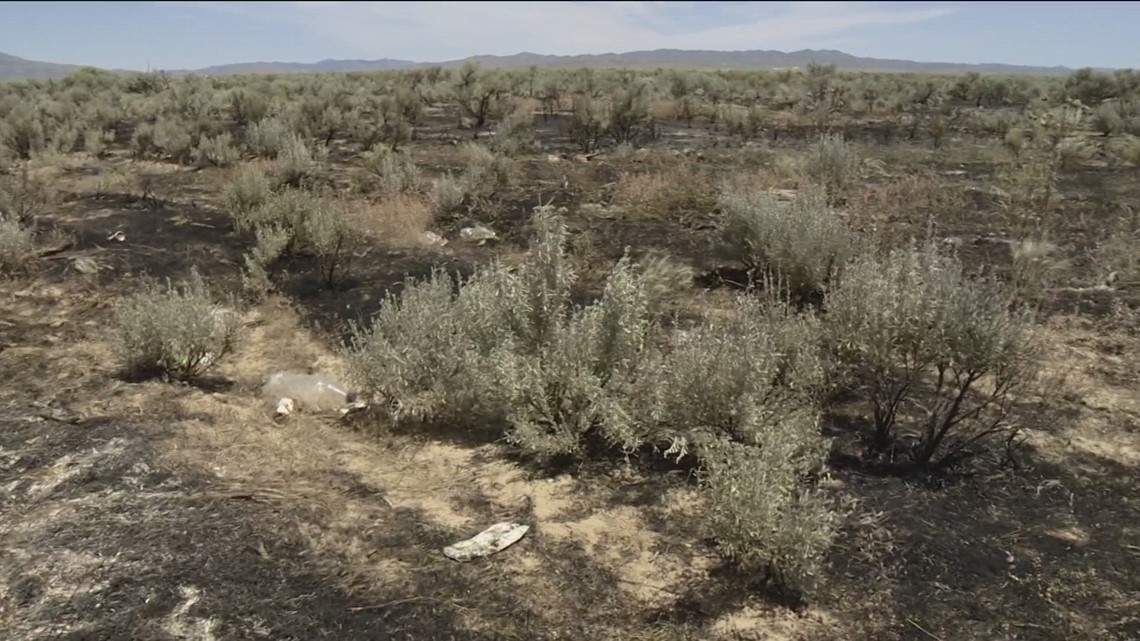 Three wildfires break out in southwest Idaho Wednesday night - Vimarsana News