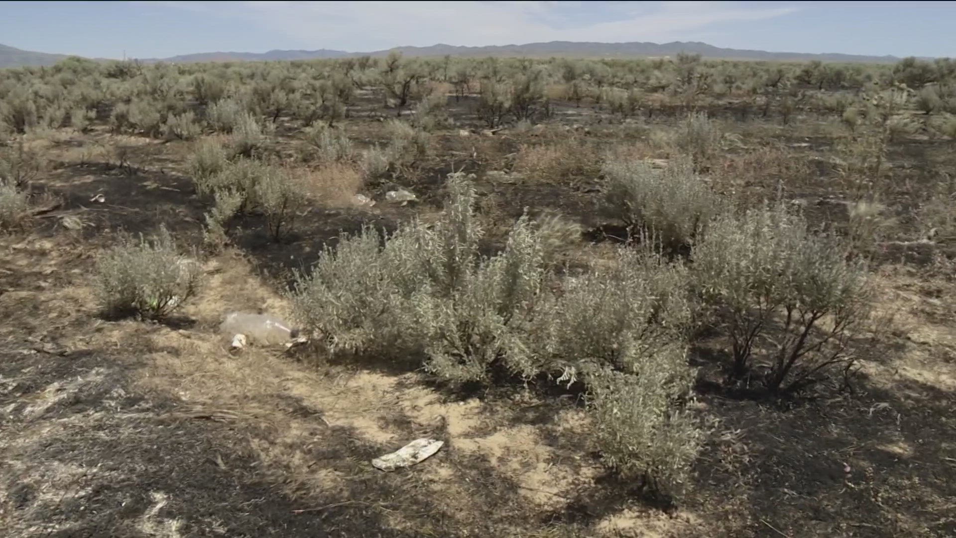 The three grass and brush fires that occurred in southwest Idaho on Wednesday night were human caused, BLM said in a news release.