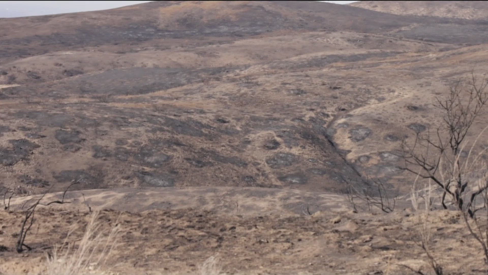 The closure is to help winter migrating deer and elk return to the burned area at a segment of the Boise River west of Highway 21.