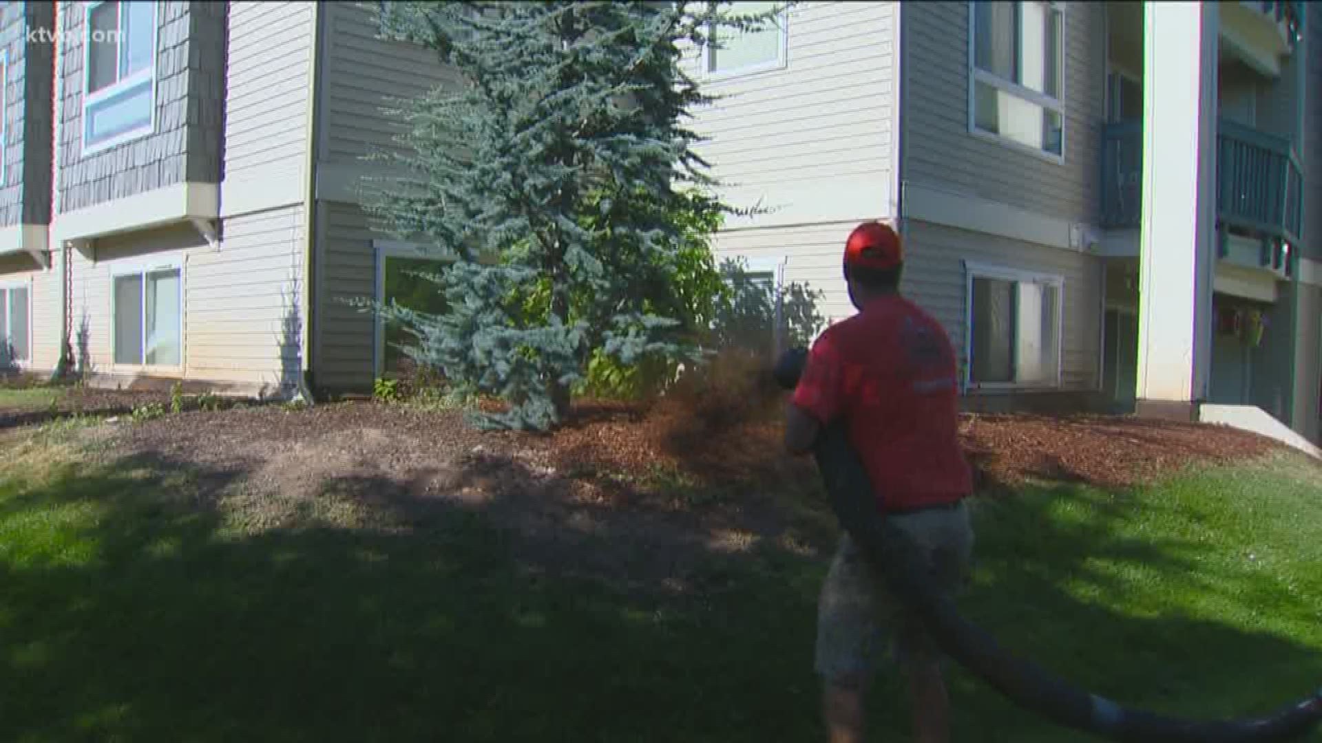 Jim Duthie shows us a quick and easy way to spruce up your landscape without breaking a sweat.