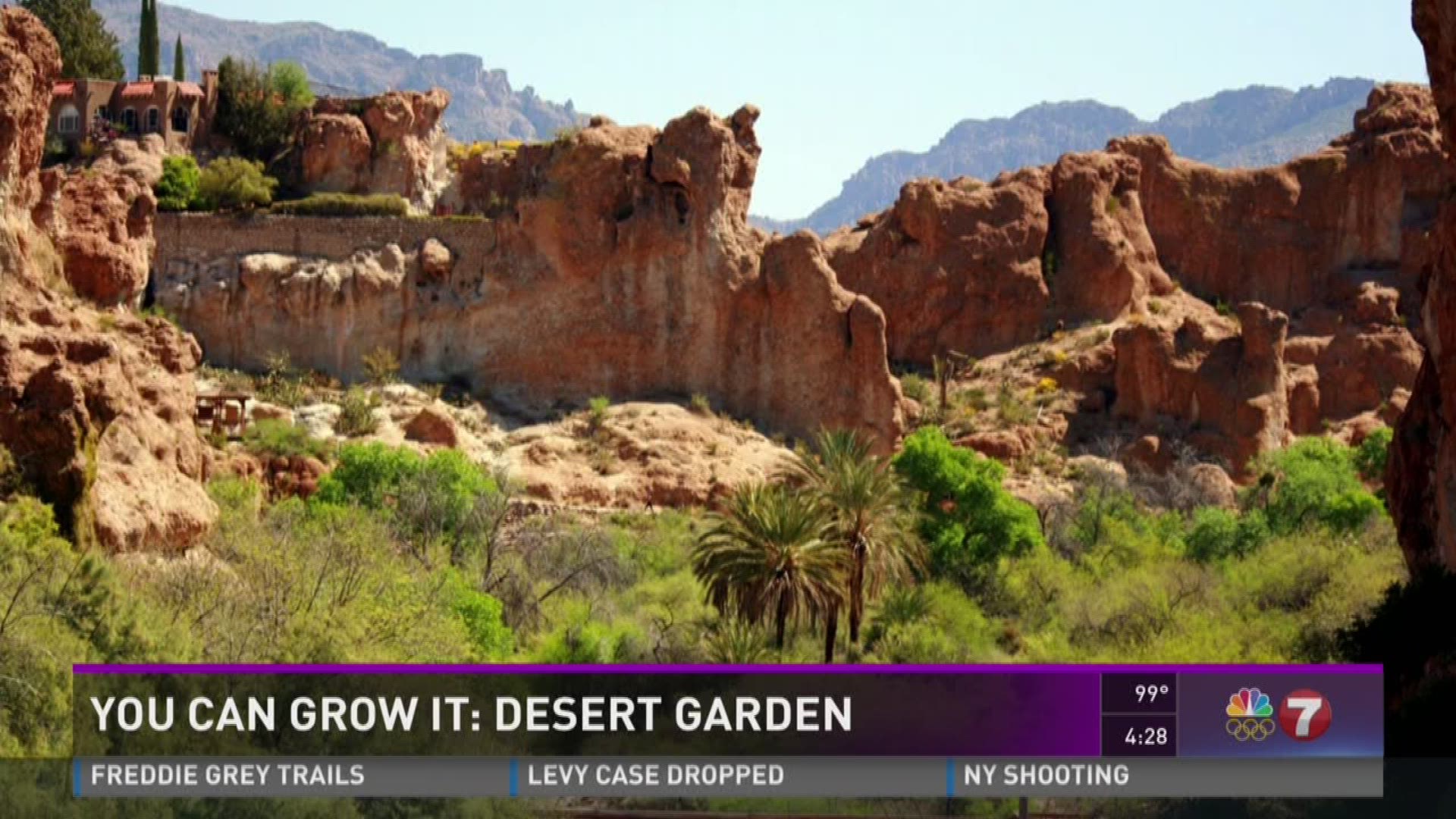 You Can Grow It Desert Garden Ktvb Com