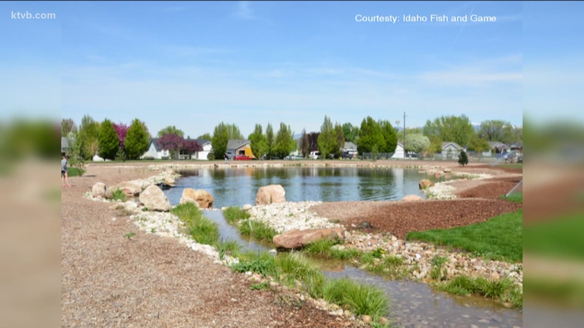 The pond is at Sterling Park in west Boise.