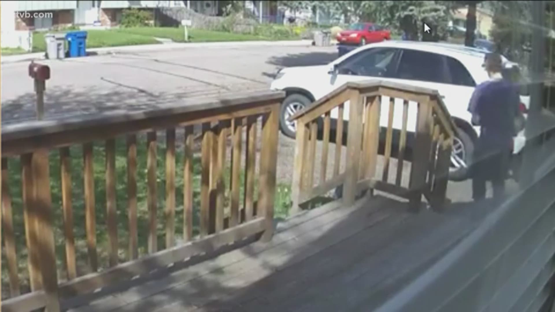 A family caught the porch pirate in the act on home video.