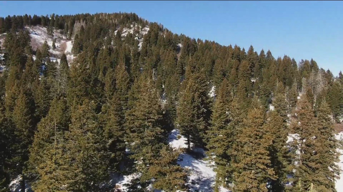 Idaho's 2026 winter hits warmest on record since 1934