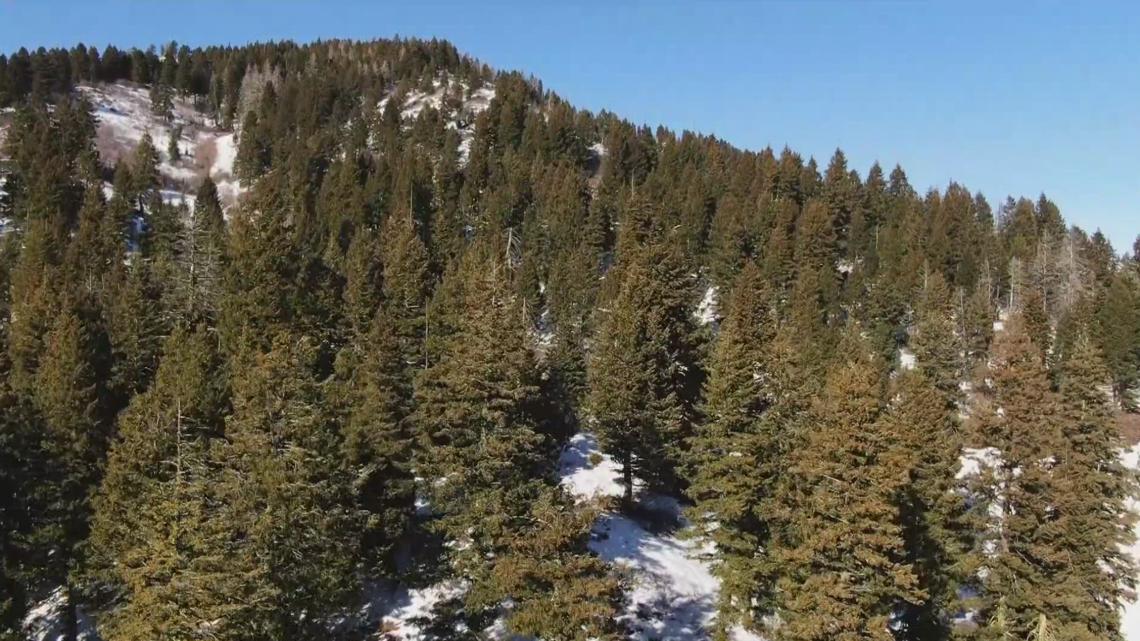 'Extremely abnormal year': Idaho's snowpack reaches record lows