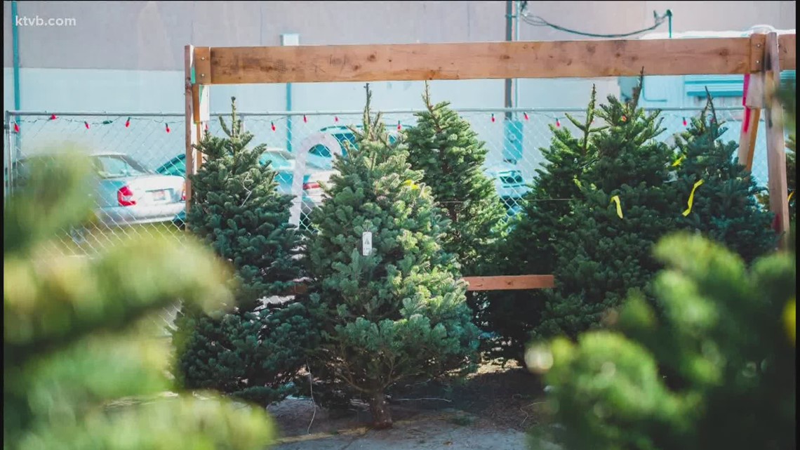 Boise Rescue Mission selling Christmas trees to feed the hungry and relieve homelessness