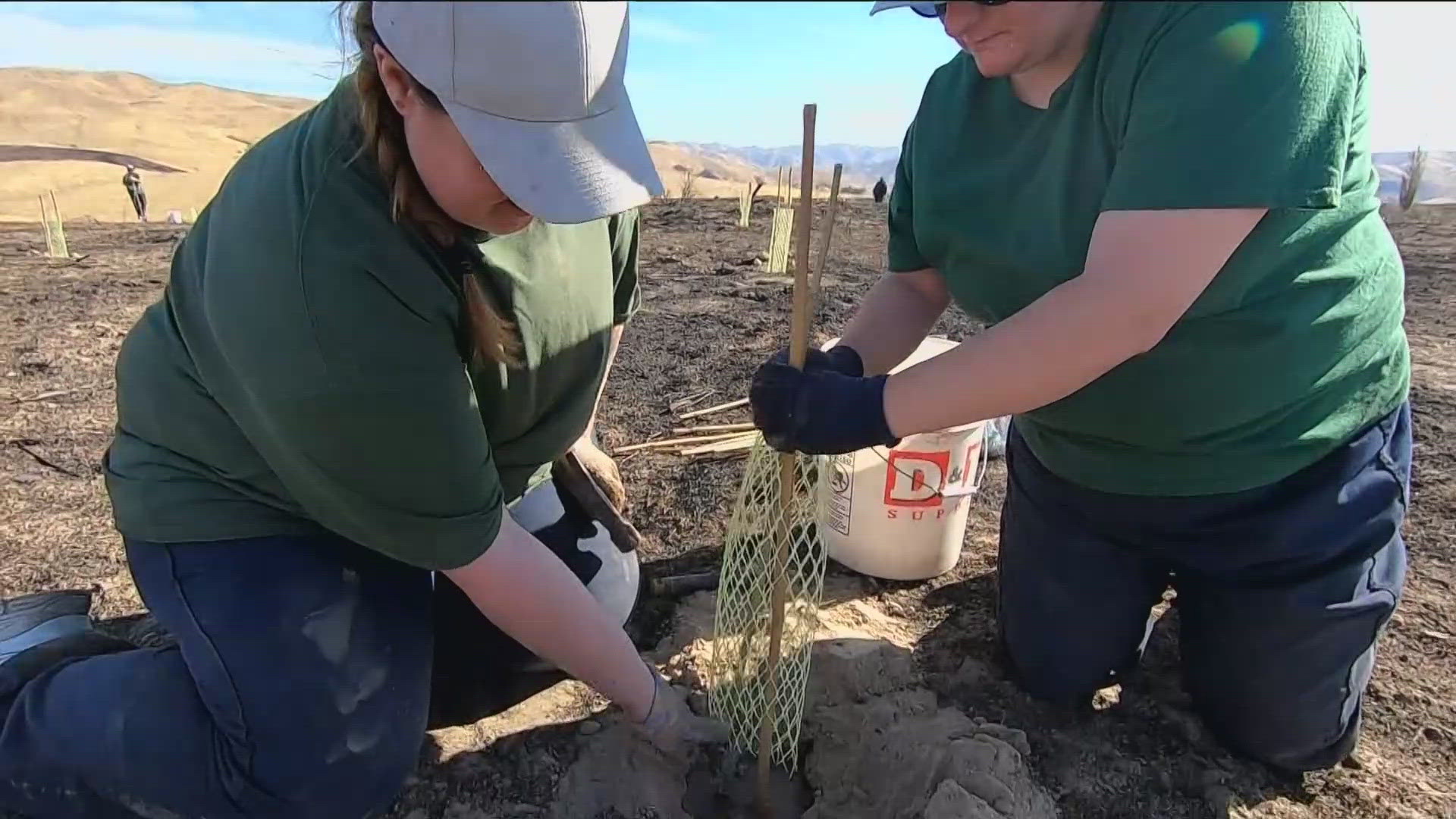 Several organizations organize the year-round effort, and on Wednesday, women at the South Boise Women's Correctional Center planted sagebrush.