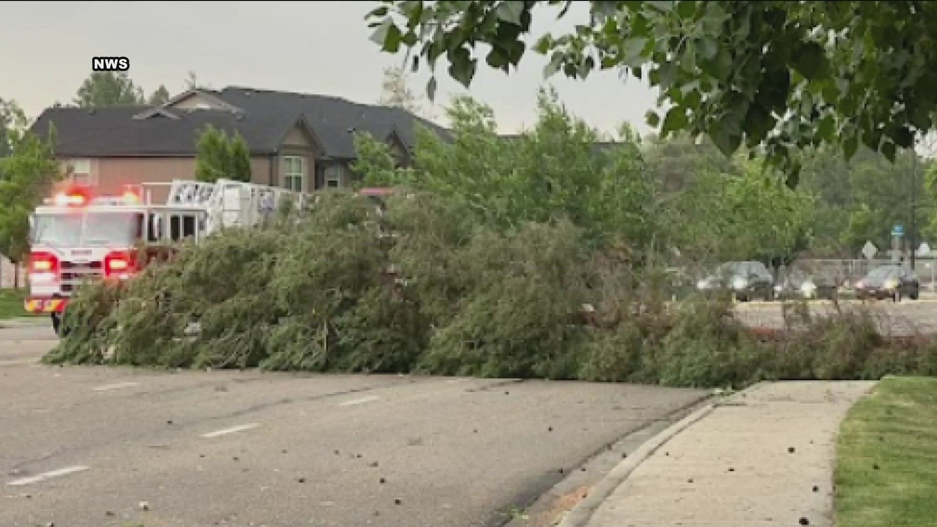The National Weather Service in Boise said severe winds have damaged trees in the area following Tuesday's downpour.