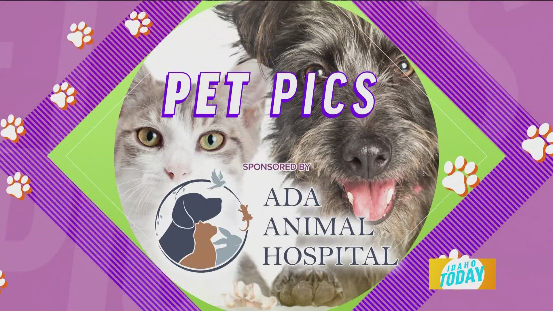 Check out these cute pets and enter for a chance to win a dental kit from Ada Animal Hospital.