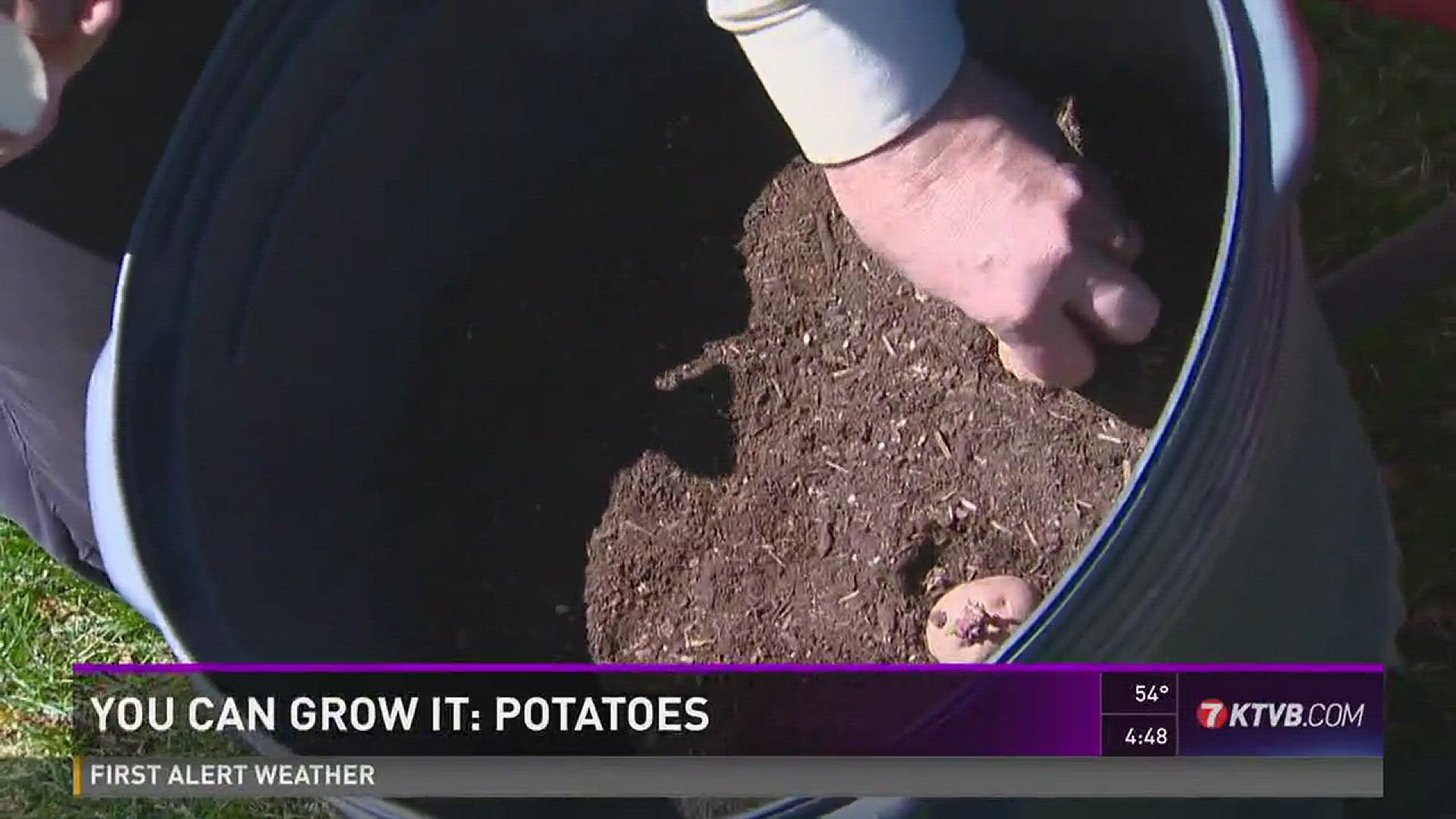 Master gardener Jim Duthie shows us an easy way to plant potatoes.