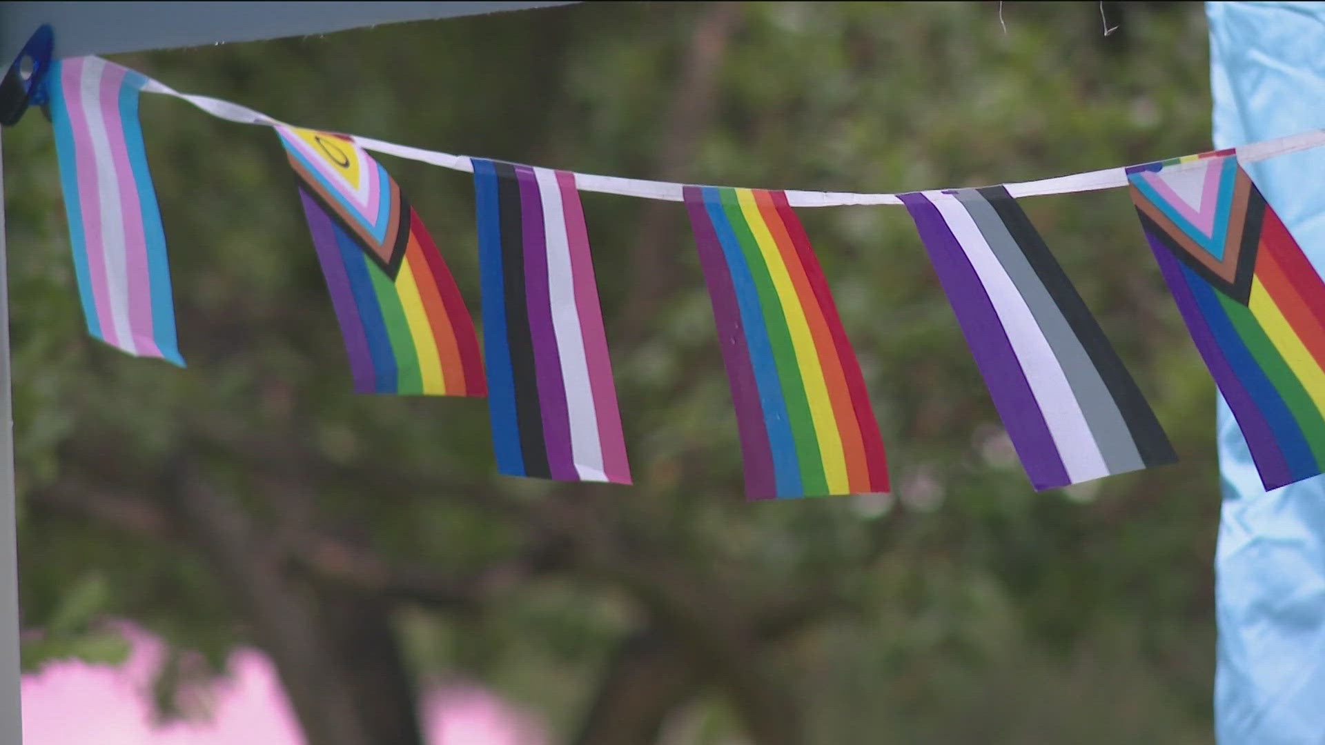 The Boise Pride Festival kicked off at Ann Morrison Park. 