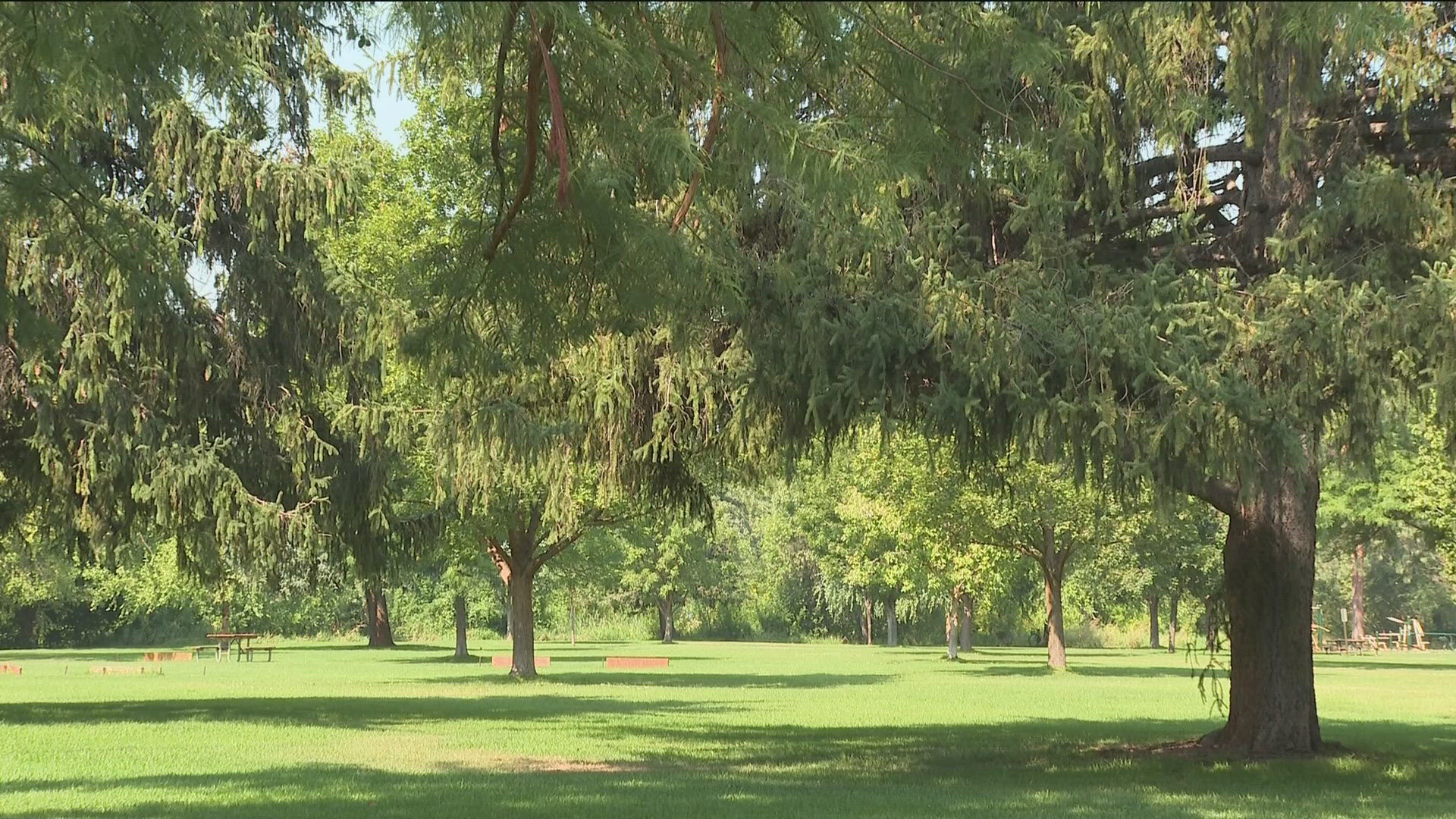 Boise aims to plant 100,000 trees by 2023 and one seedling for each person in the city.