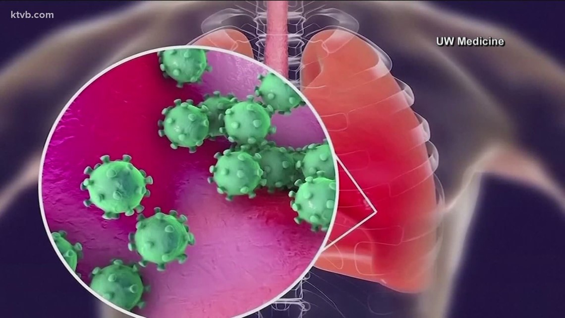 First confirmed coronavirus mutant infection in southwestern Idaho