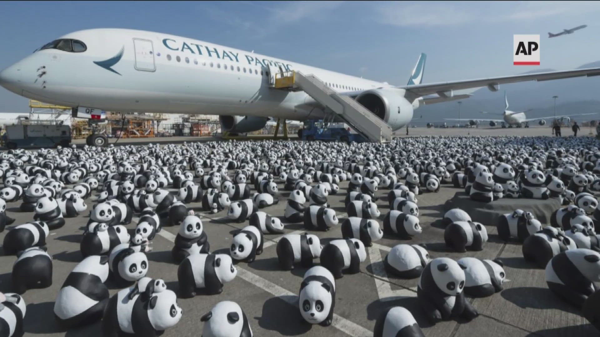 Thousand of pandas statues at airport runway, Top Dogs in the US and Play Station turns 30.