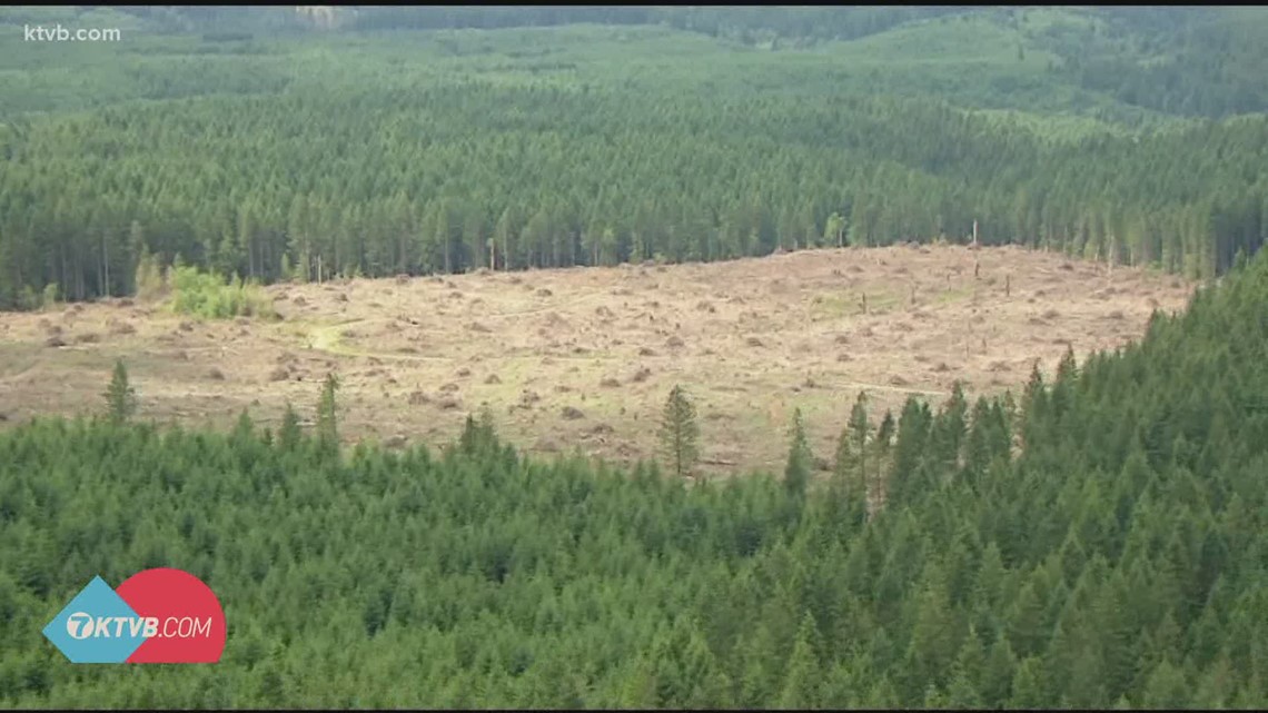 Gov. Little, Rep. Fulcher respond to Biden's public land conservation ...