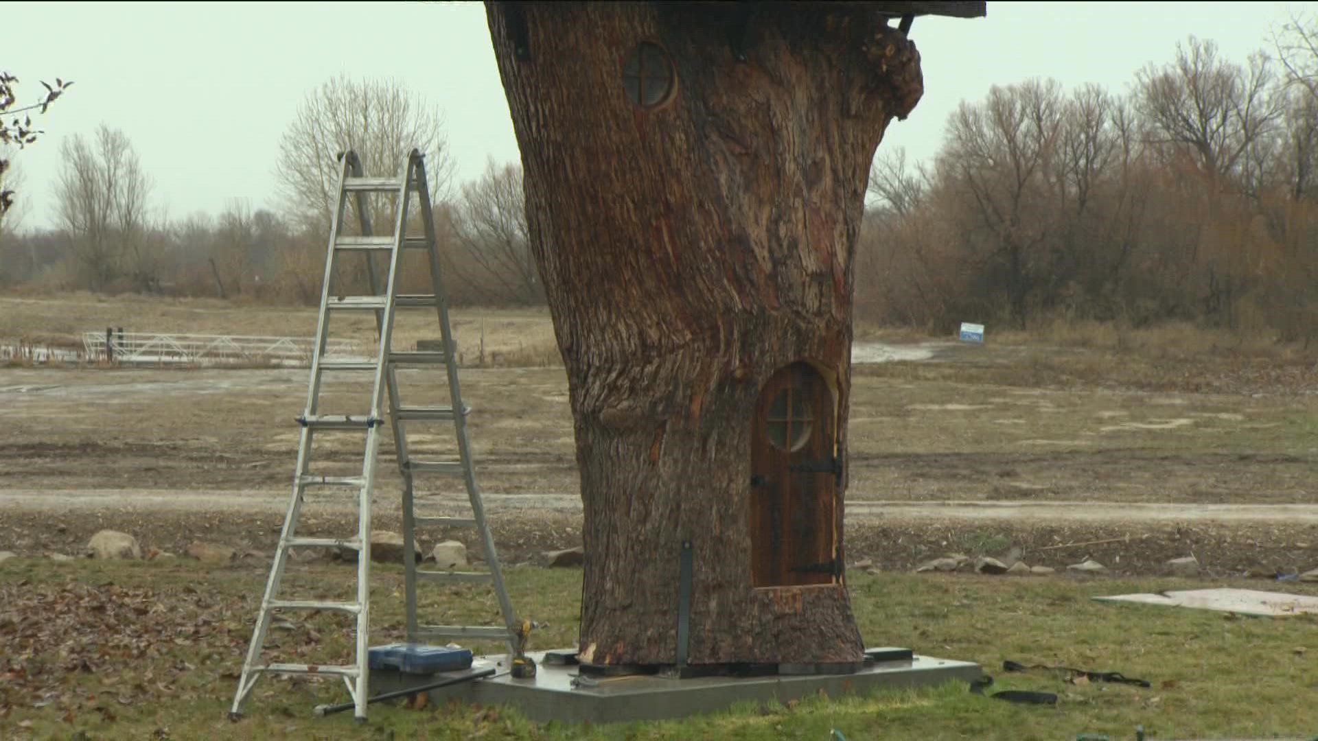 An old tree taken down in Boise gets a new life in Star as a treehouse.