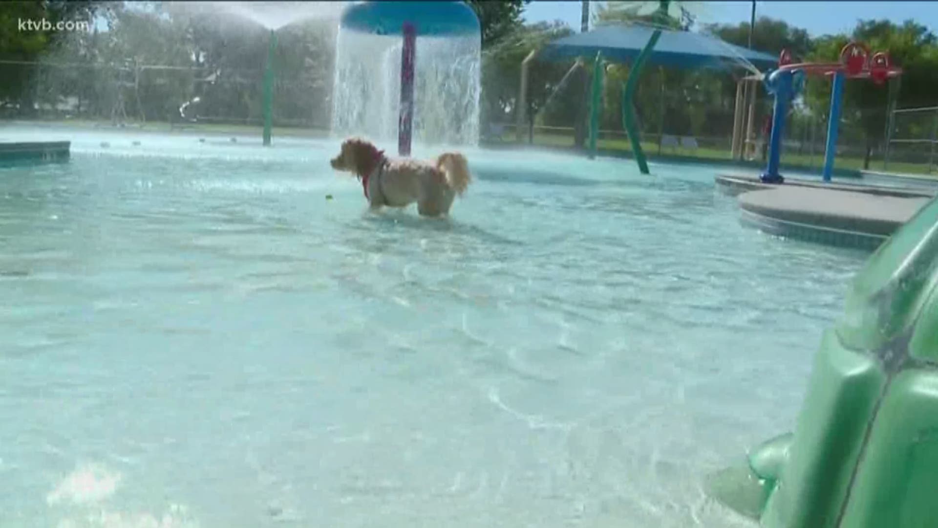 12th annual Pooch Party Stroll and Splash