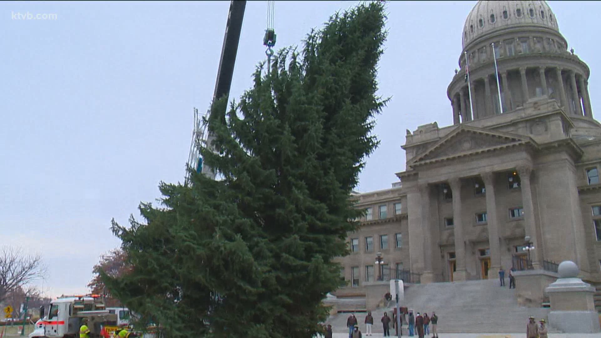 The giant Christmas tree was cut down in Boise's North End and delivered to the state Capitol Monday.