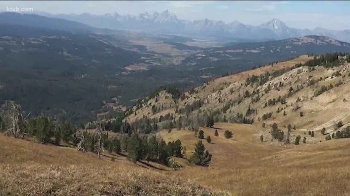 Survivor describes deadly bear attack in Wyoming | ktvb.com