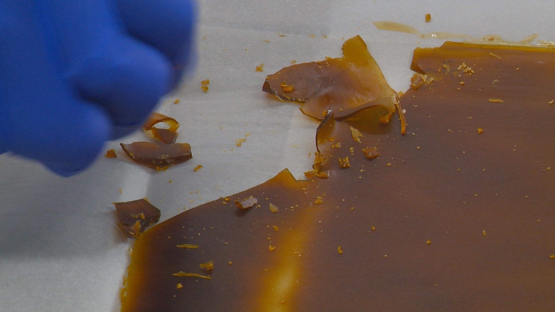 Photos Inside Burnt River Farms