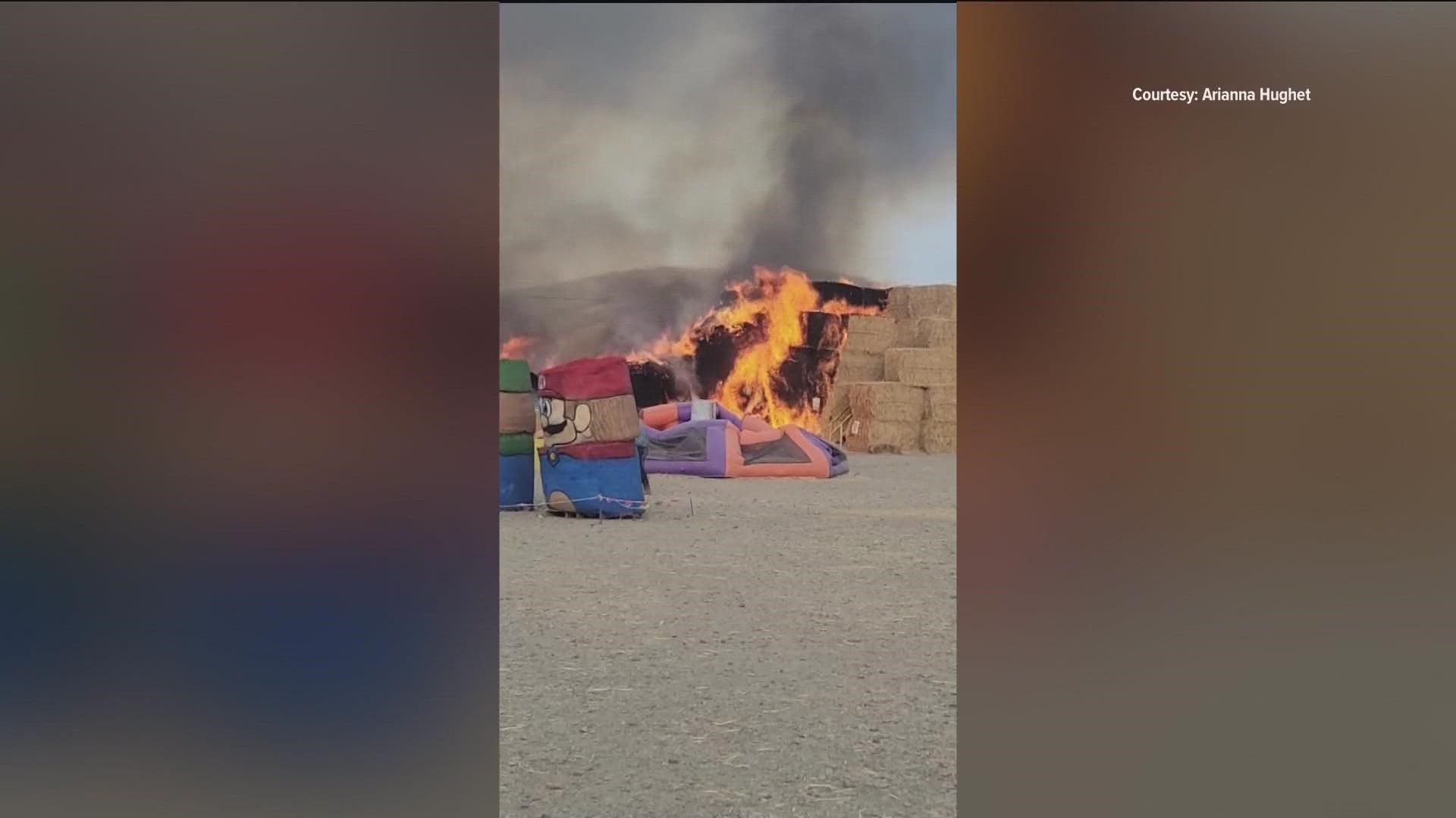 The Burley Straw Maze and Pumpkin Patch will reopen Saturday night, after a fire burned multiple haybales Friday night.