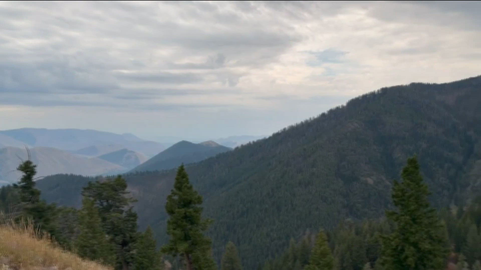 Bald Mountain Stewardship Project tackles forest fire resilience, tribal needs and recreation