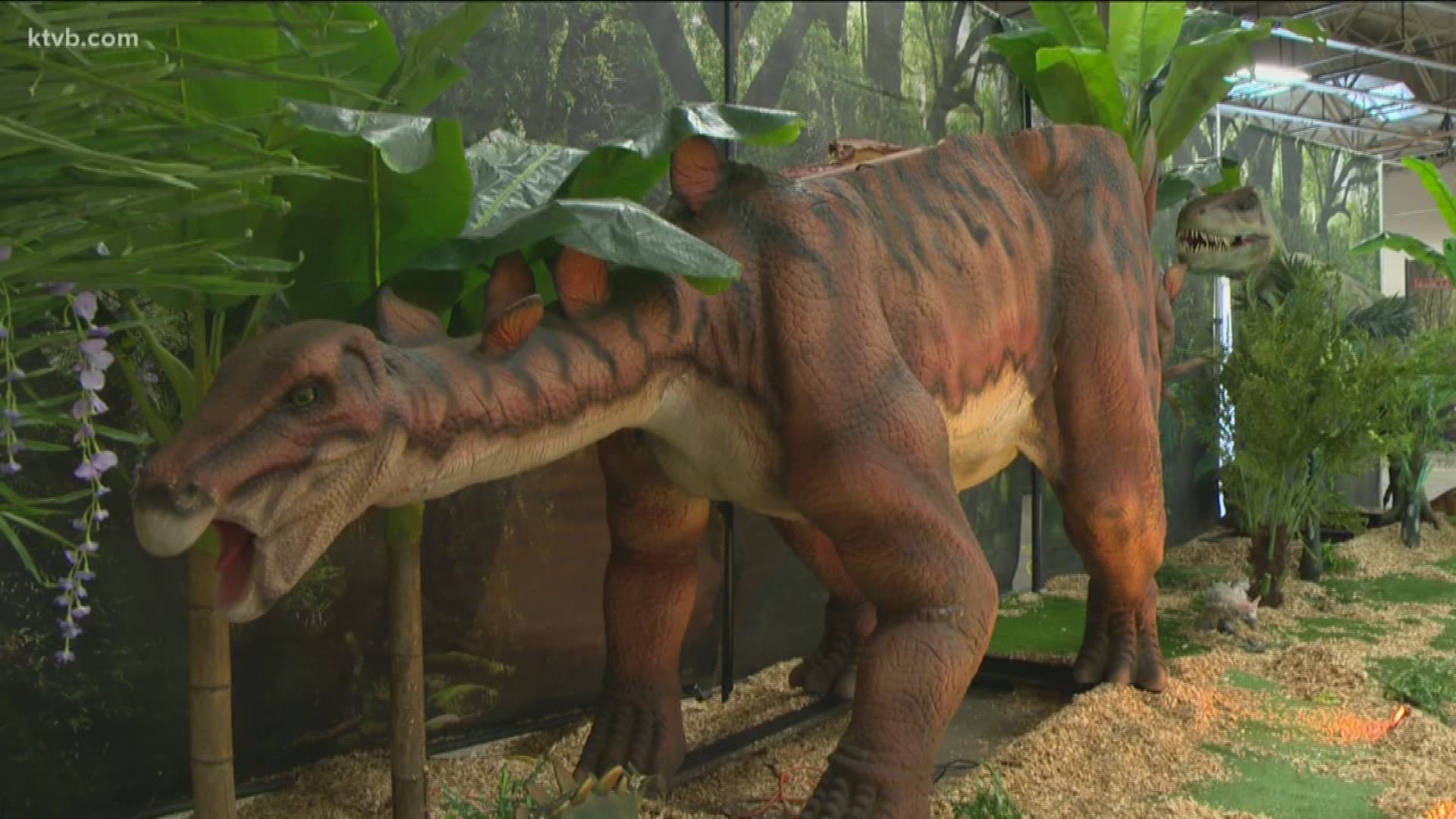 The nation's largest and most realistic dinosaurs will be in Boise Friday through Sunday.