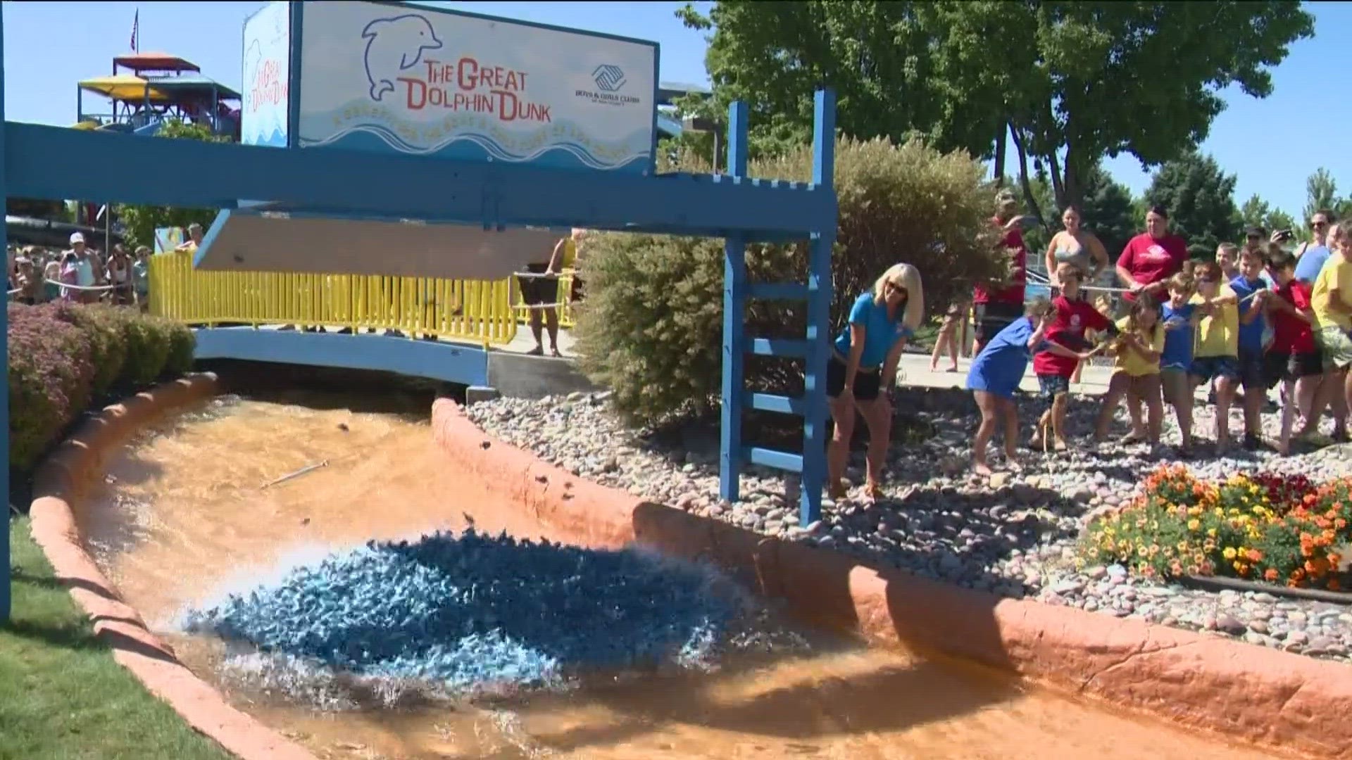 Thousands of blue dolphins raced, the event raised $64,000 this year.