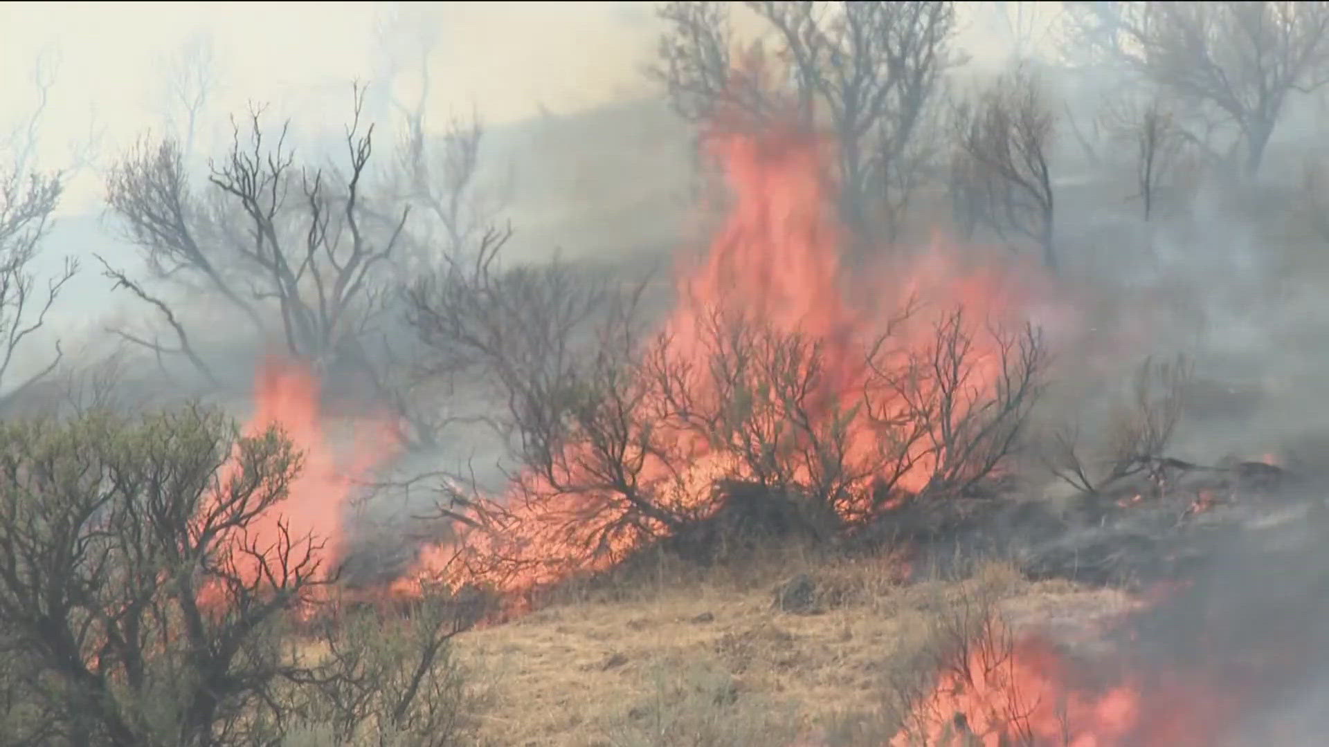 Daily updates on wildfire activity in Idaho.