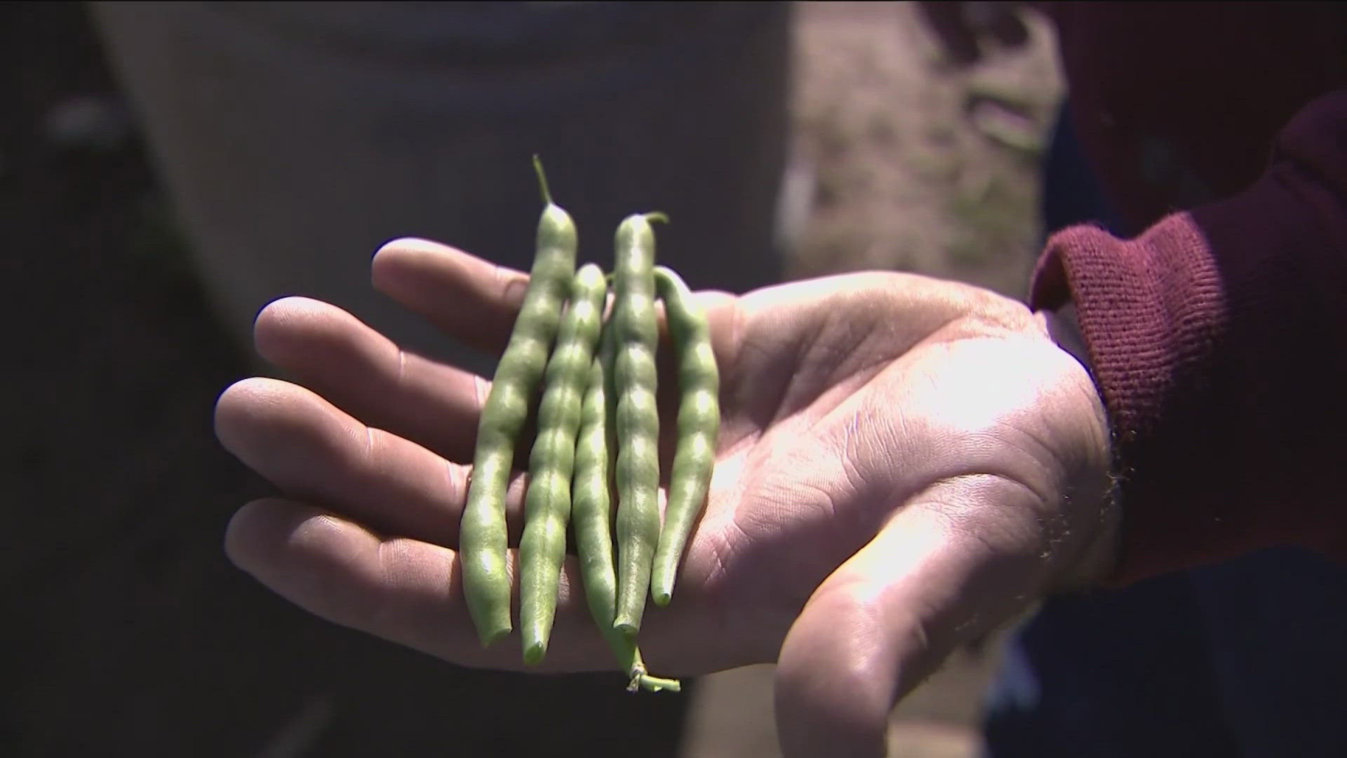 A farmer told KTVB they are working a full-time job to pay the bills.