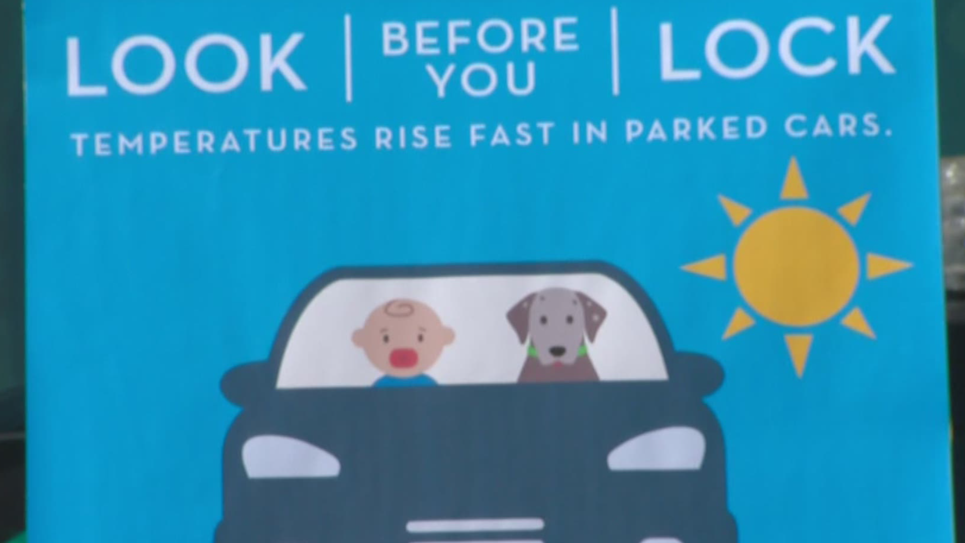 The campaign aims to keep kids, pets and seniors safe in a car.